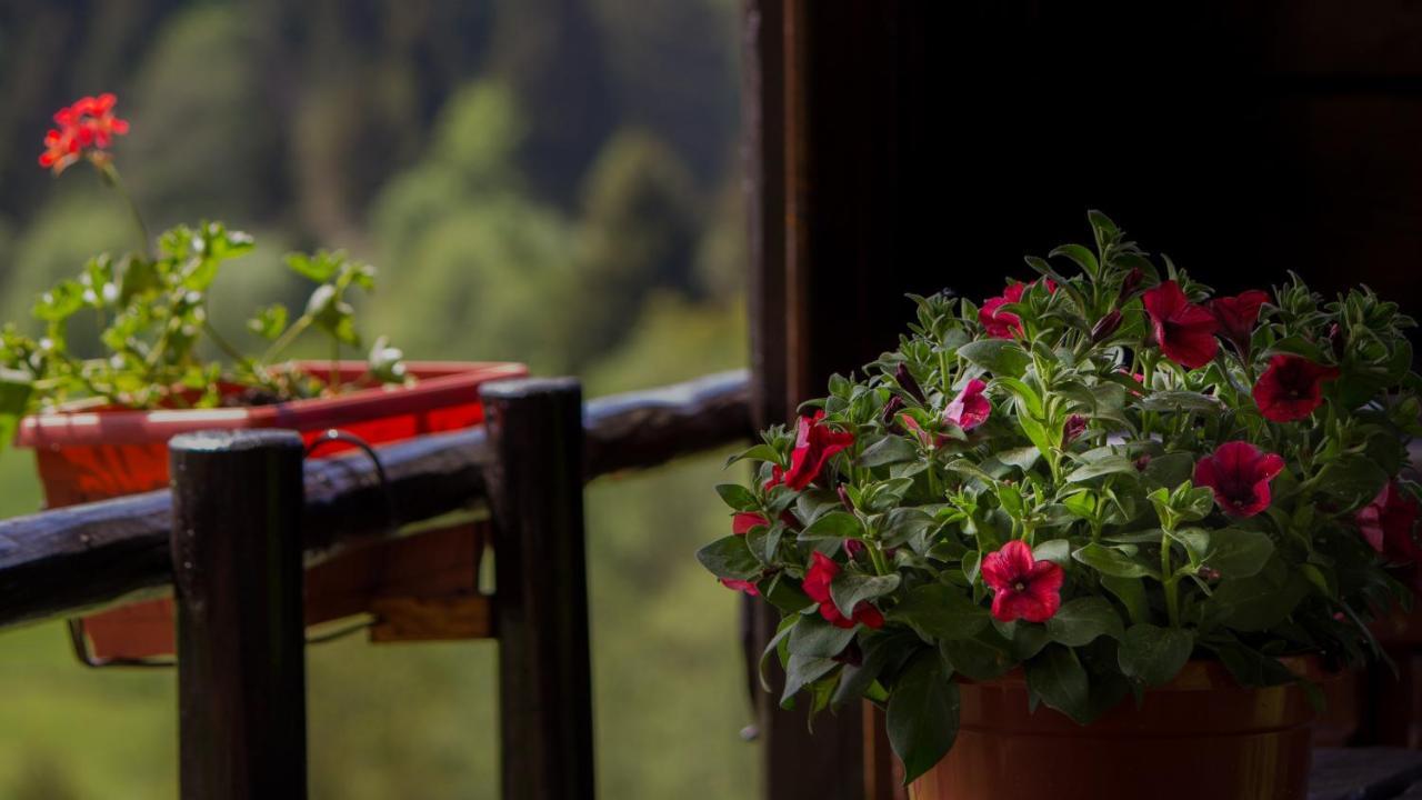 Tree House Gorski Lazi Trsce Zewnętrze zdjęcie